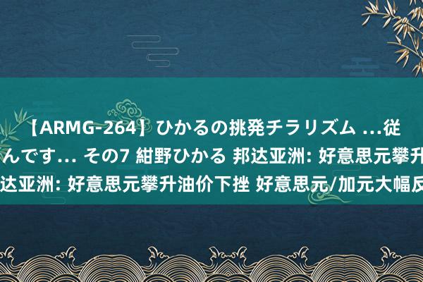 【ARMG-264】ひかるの挑発チラリズム …従妹が小悪魔すぎて困るんです… その7 紺野ひかる 邦达亚洲: 好意思元攀升油价下挫 好意思元/加元大幅反弹