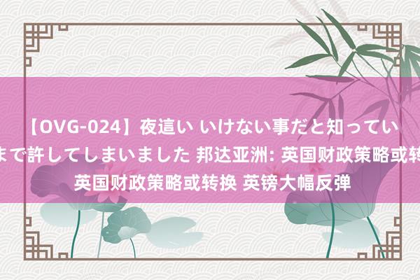 【OVG-024】夜這い いけない事だと知っていたけど生中出しまで許してしまいました 邦达亚洲: 英国财政策略或转换 英镑大幅反弹