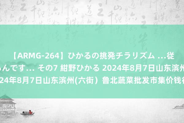 【ARMG-264】ひかるの挑発チラリズム …従妹が小悪魔すぎて困るんです… その7 紺野ひかる 2024年8月7日山东滨州(六街）鲁北蔬菜批发市集价钱行情