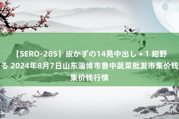 【SERO-285】抜かずの14発中出し＋1 紺野ひかる 2024年8月7日山东淄博市鲁中蔬菜批发市集价钱行情