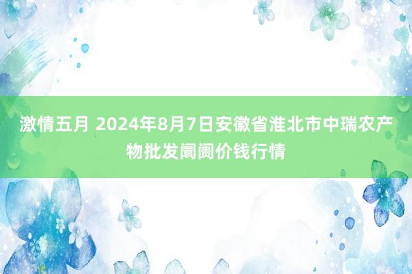 激情五月 2024年8月7日安徽省淮北市中瑞农产物批发阛阓价钱行情