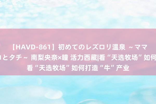 【HAVD-861】初めてのレズロリ温泉 ～ママには内緒のネコとタチ～ 南梨央奈×瞳 活力西藏|看“天选牧场”如何打造“牛”产业