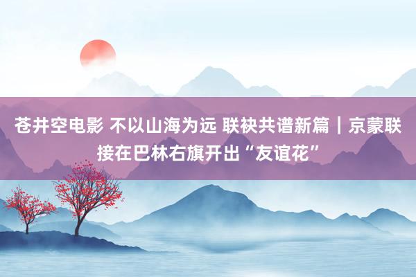 苍井空电影 不以山海为远 联袂共谱新篇｜京蒙联接在巴林右旗开出“友谊花”