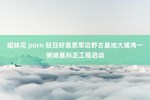 姐妹花 porn 驻日好意思军边野古基地大浦湾一侧地基纠正工程启动