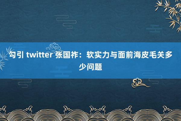 勾引 twitter 张国祚：软实力与面前海皮毛关多少问题