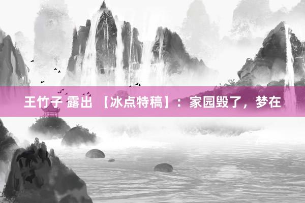 王竹子 露出 【冰点特稿】：家园毁了，梦在