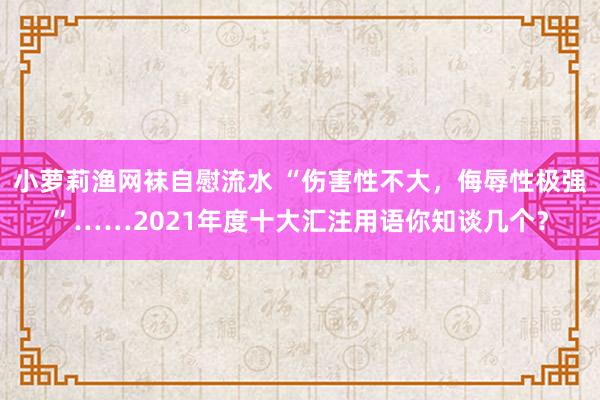 小萝莉渔网袜自慰流水 “伤害性不大，侮辱性极强”……2021年度十大汇注用语你知谈几个？