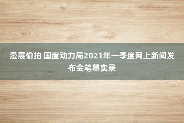 漫展偷拍 国度动力局2021年一季度网上新闻发布会笔墨实录