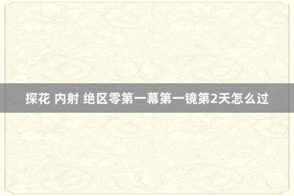 探花 内射 绝区零第一幕第一镜第2天怎么过